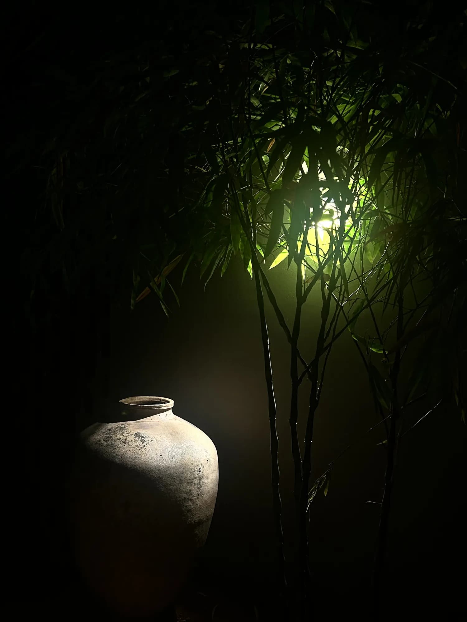Pot and Bamboo