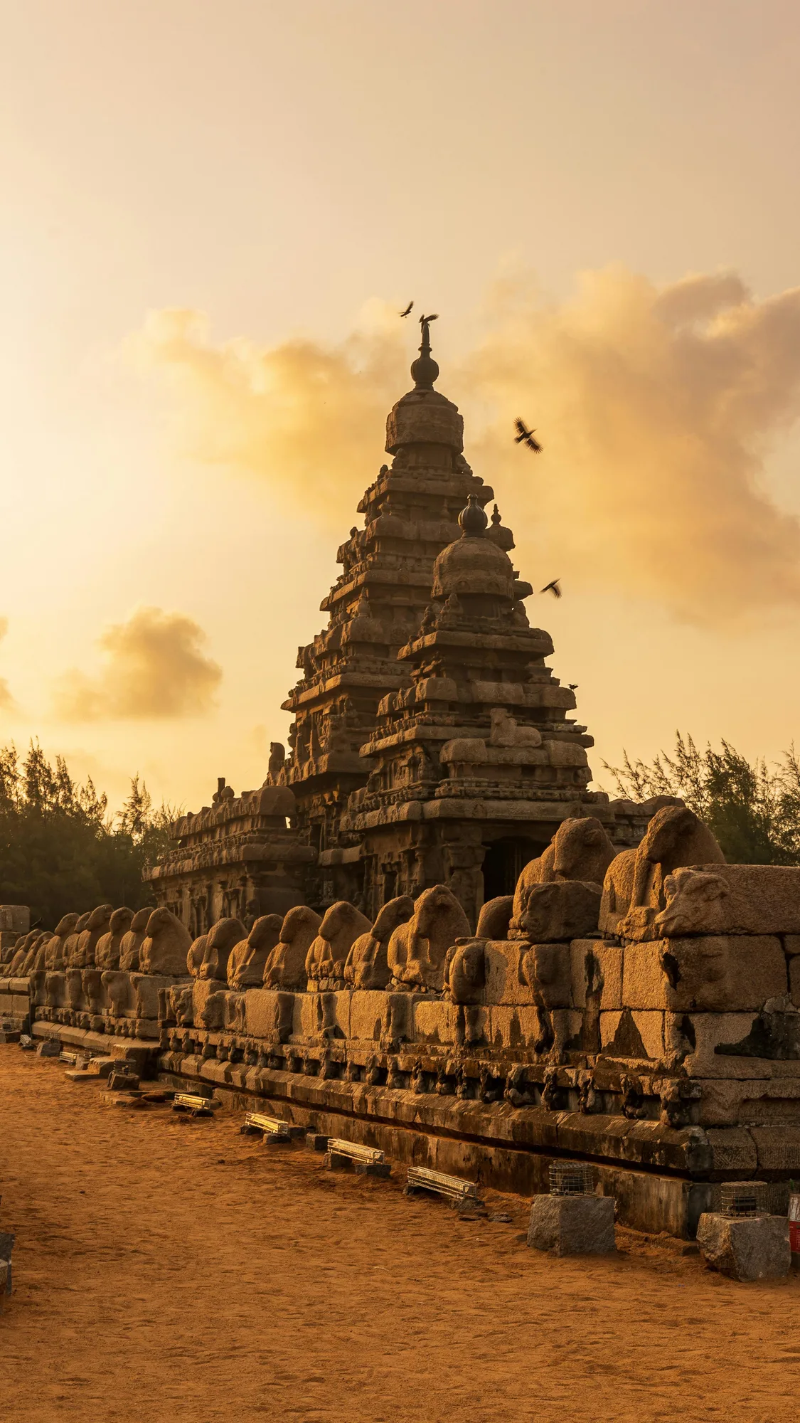Southern India Grand Tour