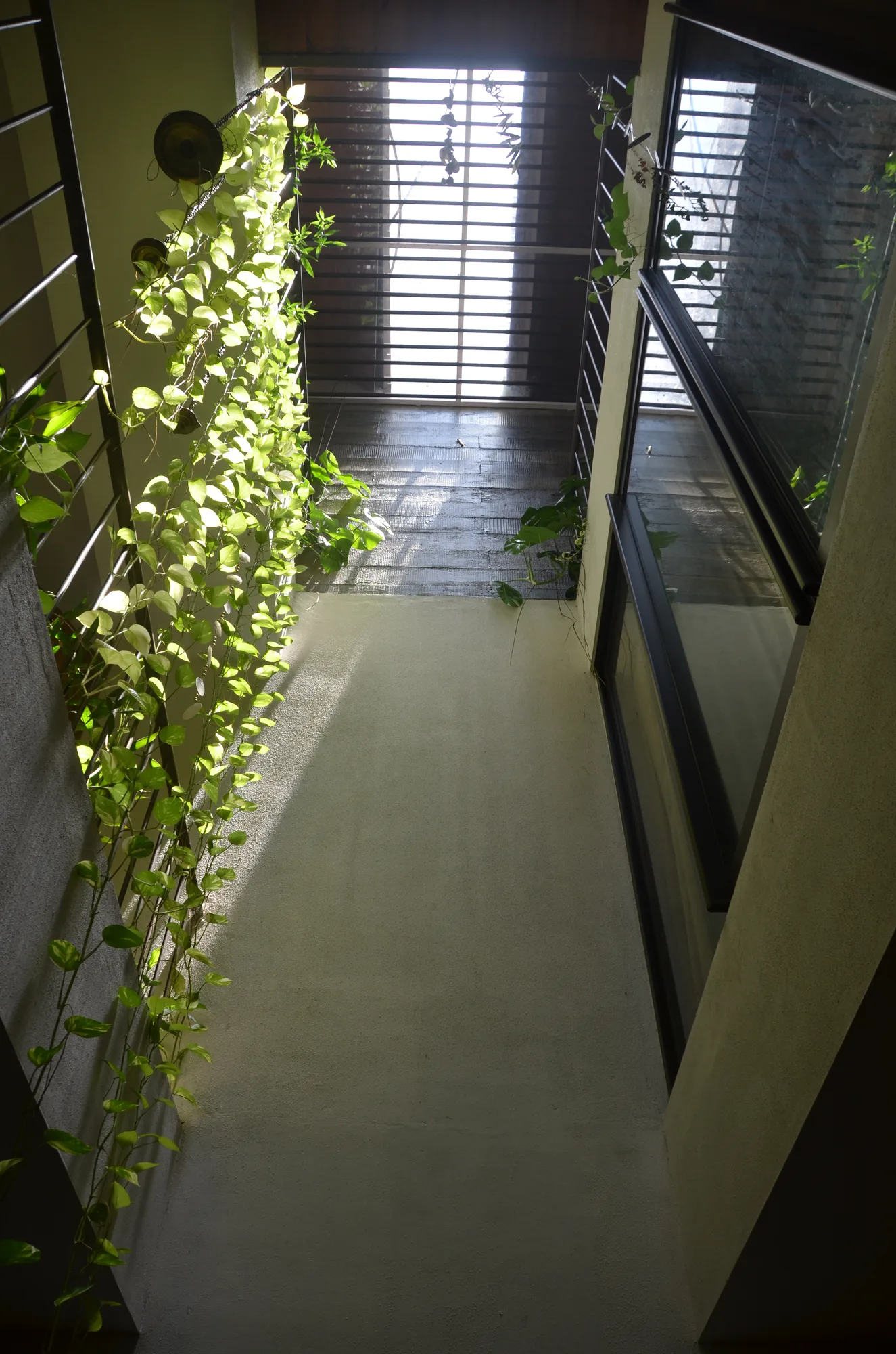 Tropical Architecture